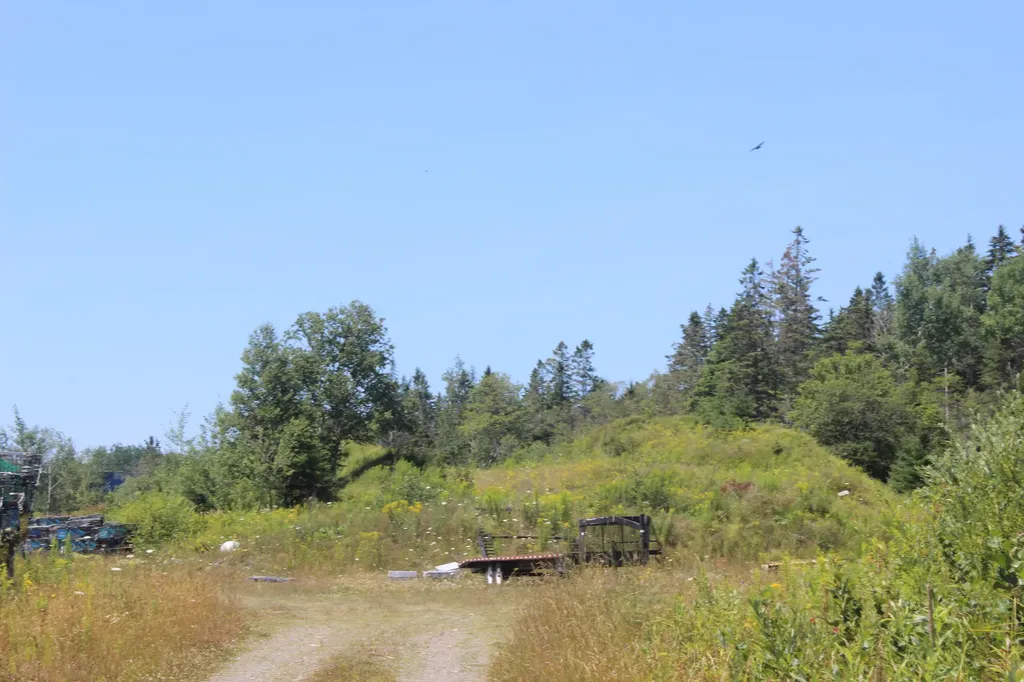 187 County Road Eastport ME 04631