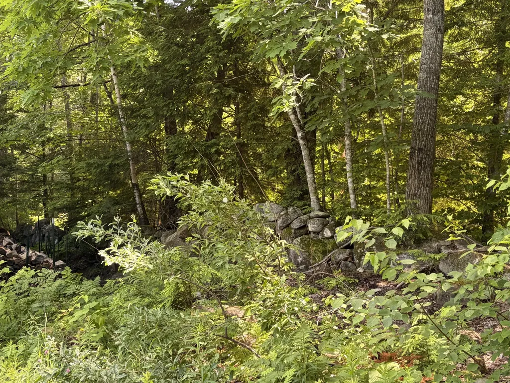 163 Ingalls Road Bridgton ME 04009