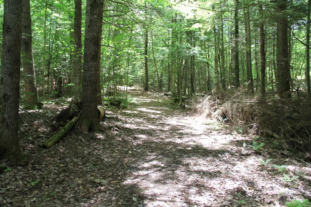 Lot 41 Salmon Road Madison ME 04950