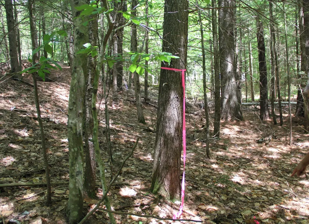 Lot 41 Salmon Road Madison ME 04950