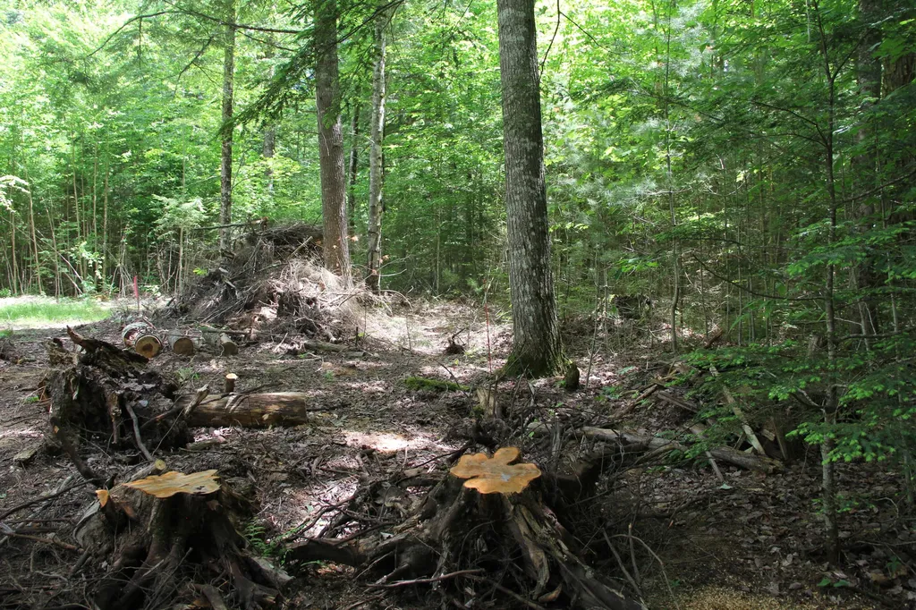 Lot 41 Salmon Road Madison ME 04950