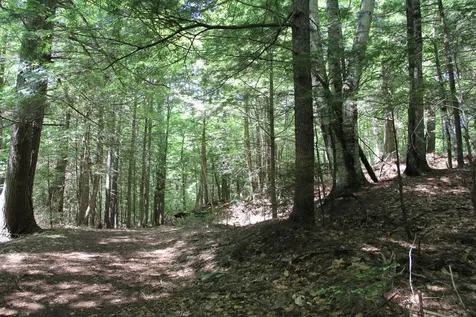 Lot 41 Salmon Road Madison ME 04950