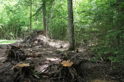Lot 41 Salmon Road Madison ME 04950