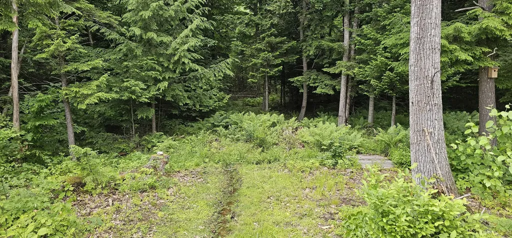 798 Sokokis Avenue Limington ME 04049