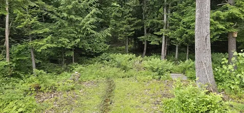 798 Sokokis Avenue Limington ME 04049