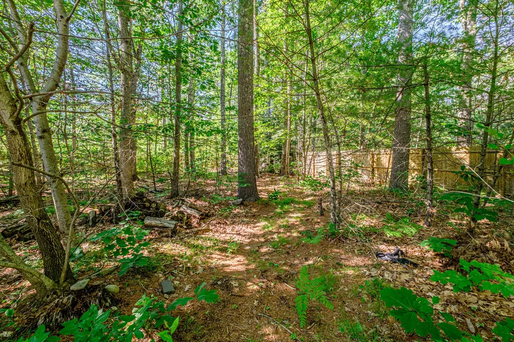 10 Lost Tree Lane Lyman ME 04002