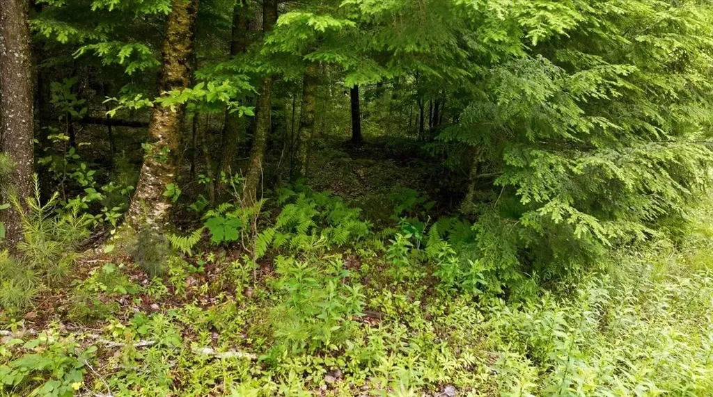 Lot 08 Sara's Way Bowdoinham ME 04008