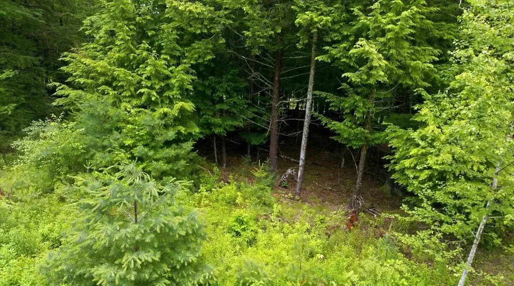 Lot 08 Sara's Way Bowdoinham ME 04008