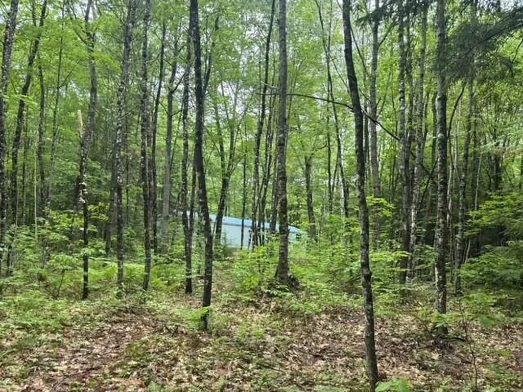 68 George Thomas Road New Sharon ME 04955