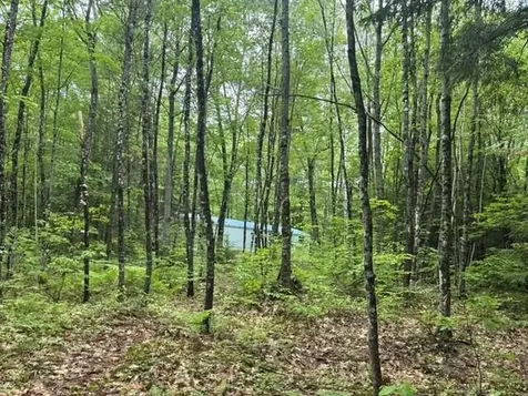 68 George Thomas Road New Sharon ME 04955