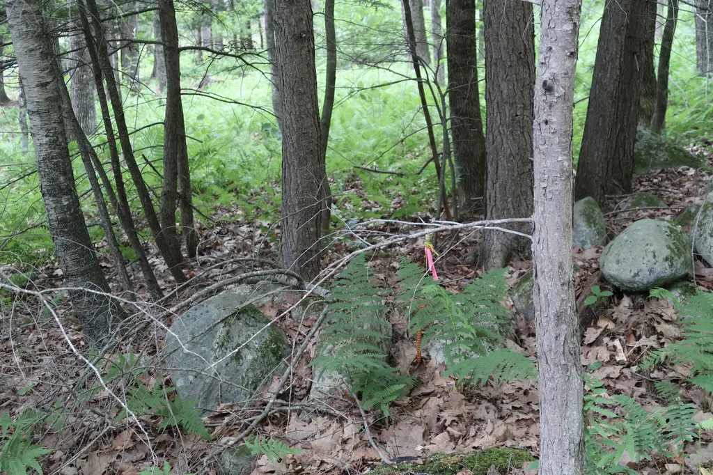 16 Lovejoy Lane Readfield ME 04355