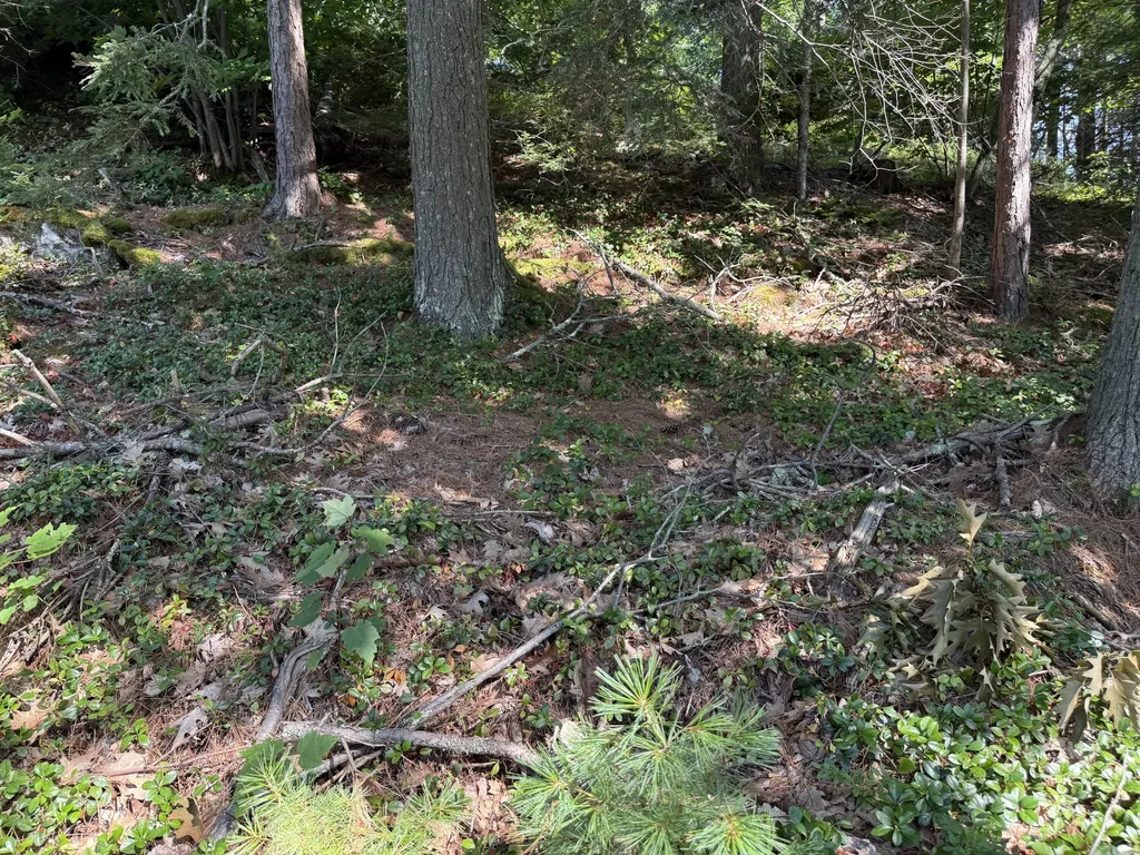 9 + 11 Orion Point Way Harpswell ME 04079