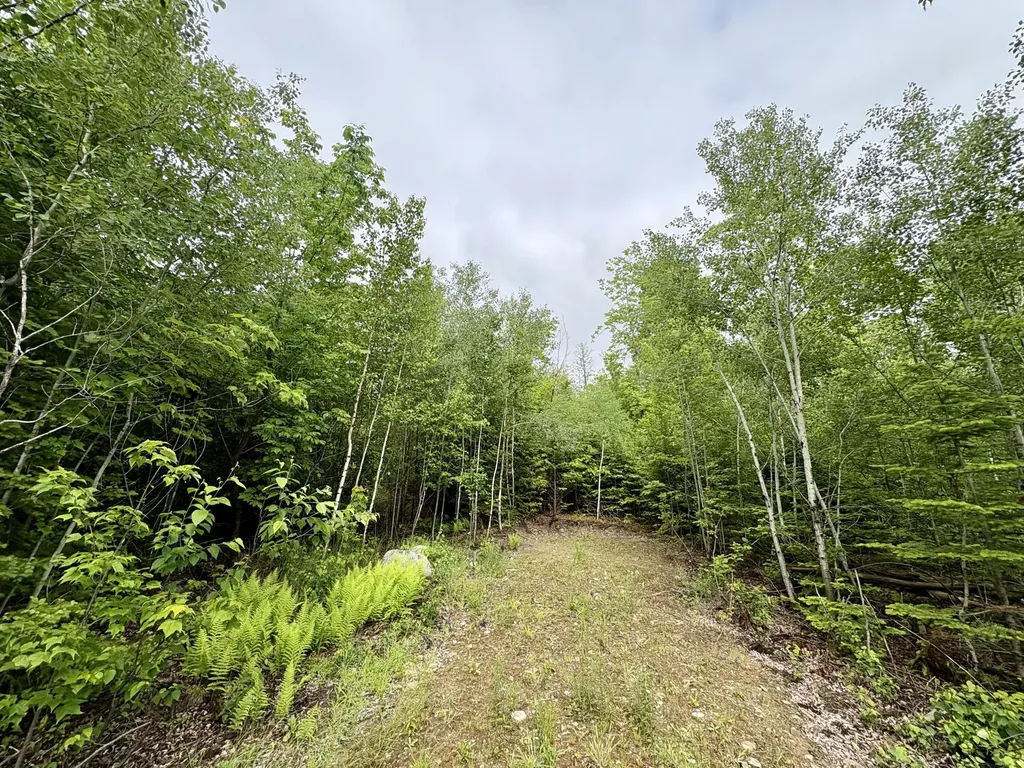 Lot 4 Mt. Jefferson Heights Lee ME 04455