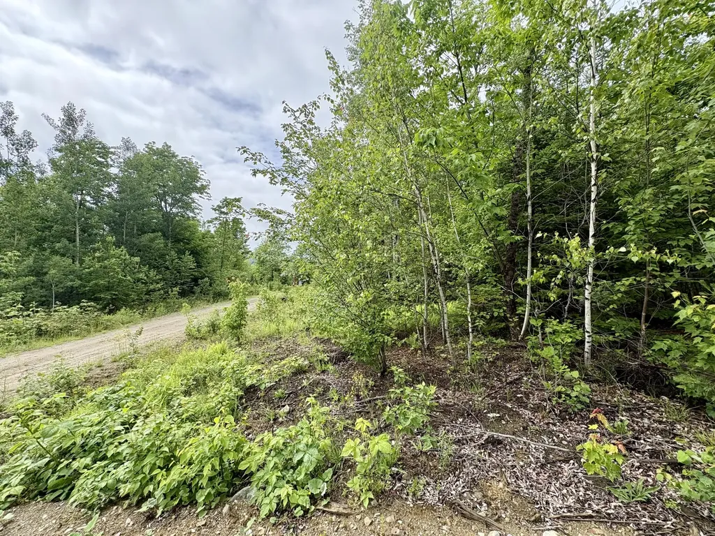 Lot 4 Mt. Jefferson Heights Lee ME 04455