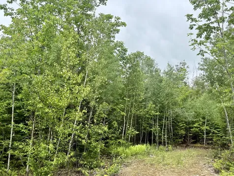 Lot 4 Mt. Jefferson Heights Lee ME 04455
