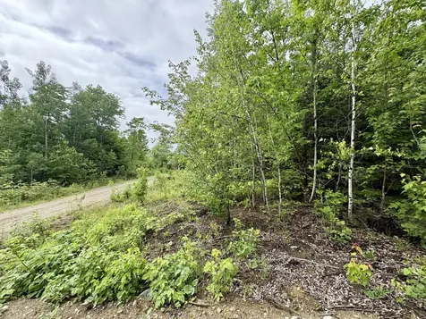 Lot 4 Mt. Jefferson Heights Lee ME 04455