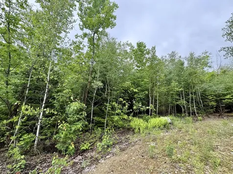 Lot 4 Mt. Jefferson Heights Lee ME 04455