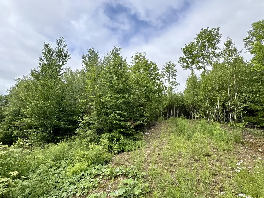 Lot 5 Mt. Jefferson Heights Lee ME 04455