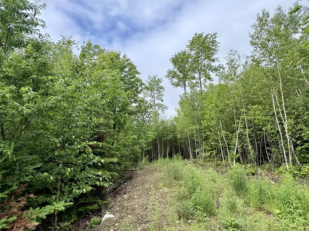 Lot 5 Mt. Jefferson Heights Lee ME 04455