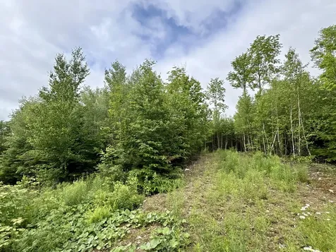 Lot 5 Mt. Jefferson Heights Lee ME 04455