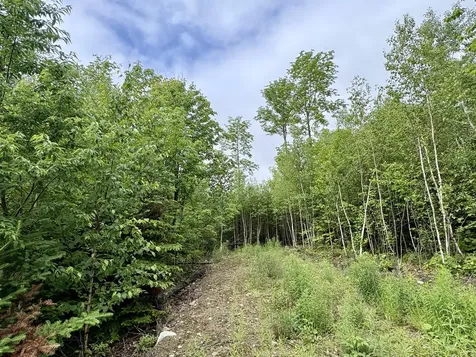 Lot 5 Mt. Jefferson Heights Lee ME 04455