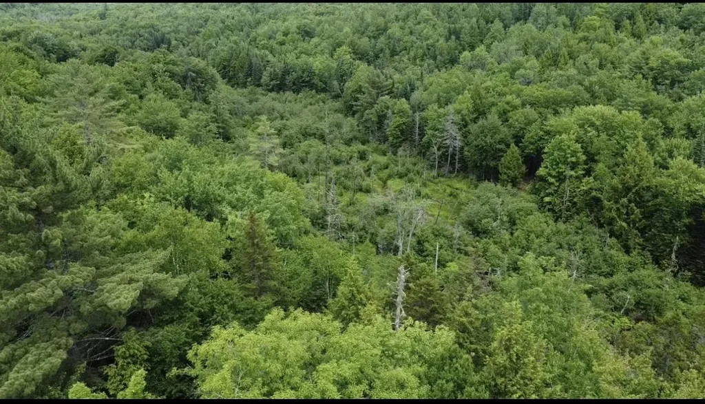 Lot 14 Hanslip Road Wilton ME 04294