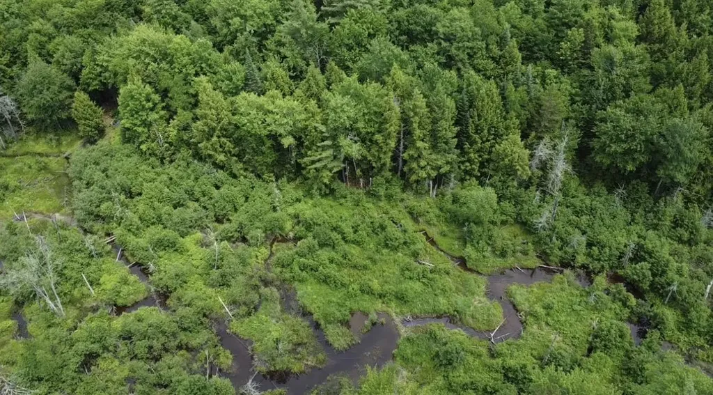Lot 14 Hanslip Road Wilton ME 04294