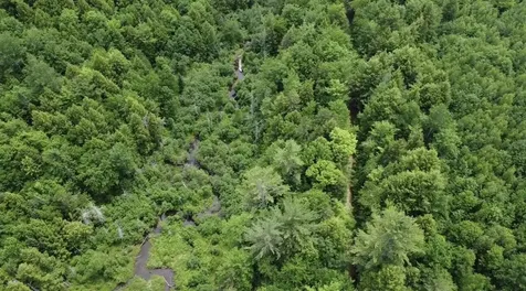 Lot 14 Hanslip Road Wilton ME 04294