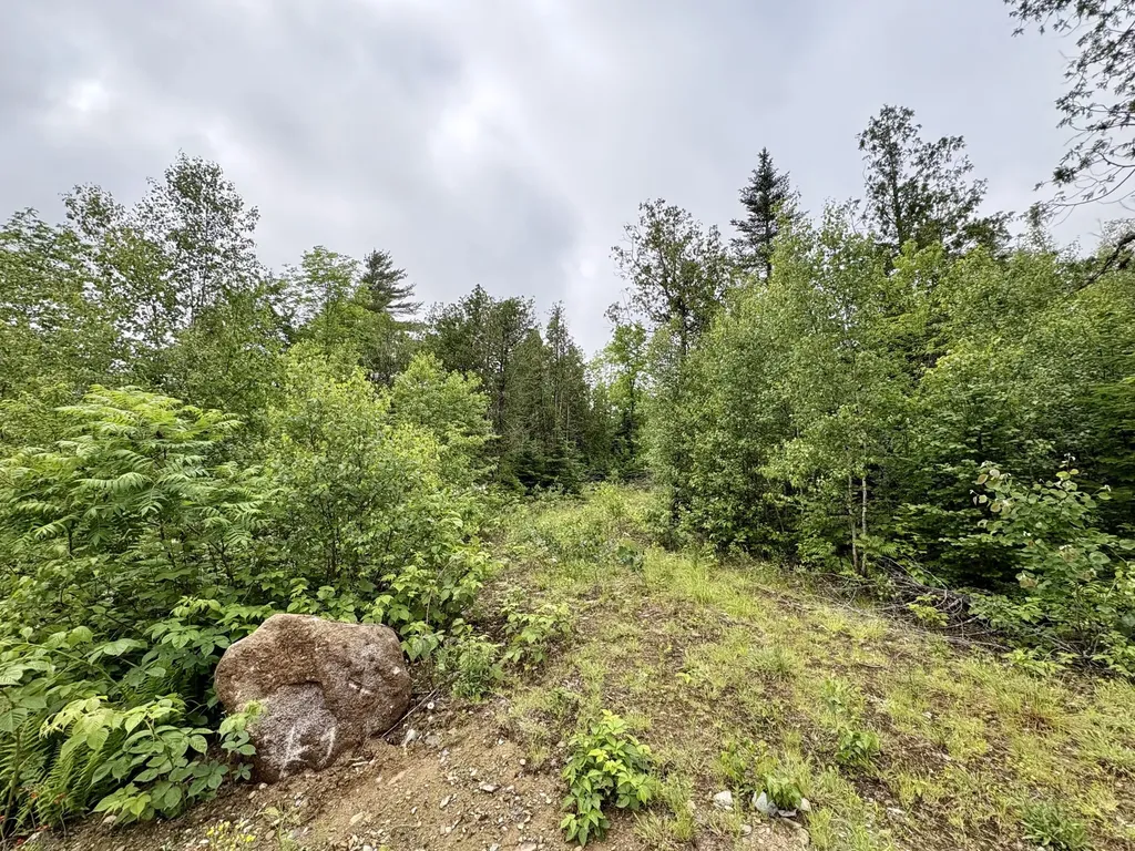 Lot 2 Mt. Jefferson Heights Lee ME 04455