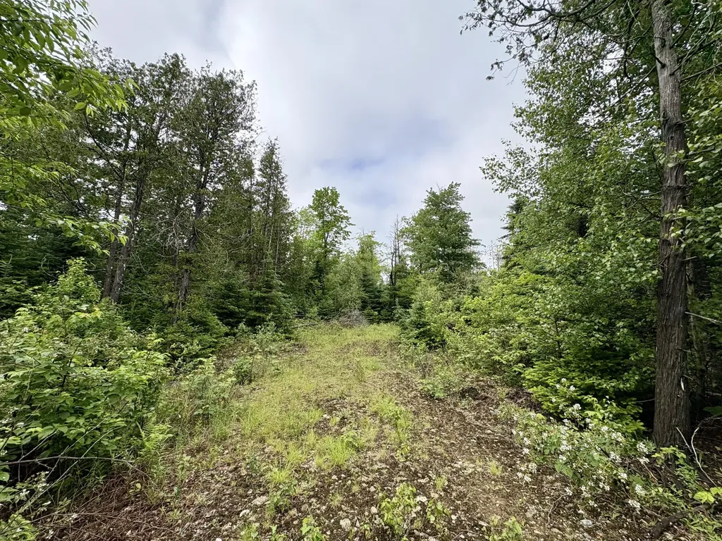 Lot 2 Mt. Jefferson Heights Lee ME 04455