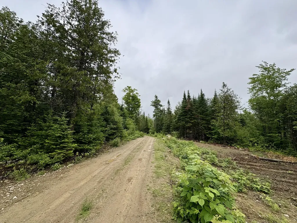 Lot 2 Mt. Jefferson Heights Lee ME 04455
