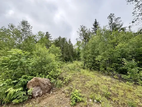 Lot 2 Mt. Jefferson Heights Lee ME 04455