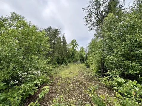 Lot 2 Mt. Jefferson Heights Lee ME 04455