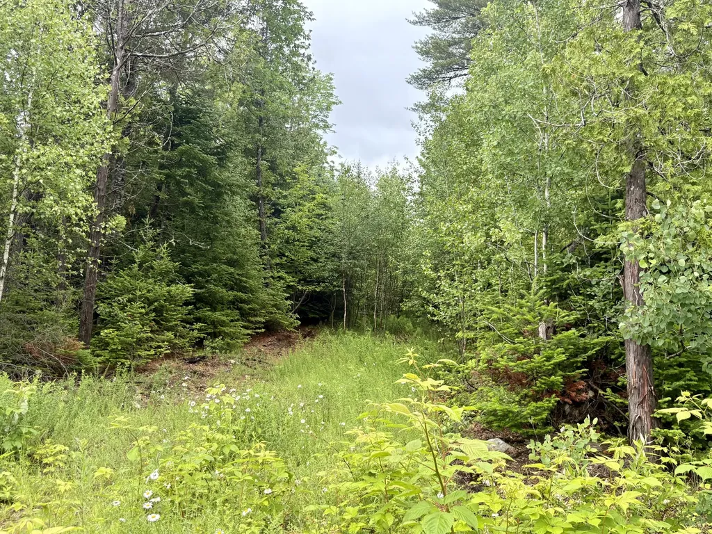 Lot 3 Mt. Jefferson Heights Lee ME 04455