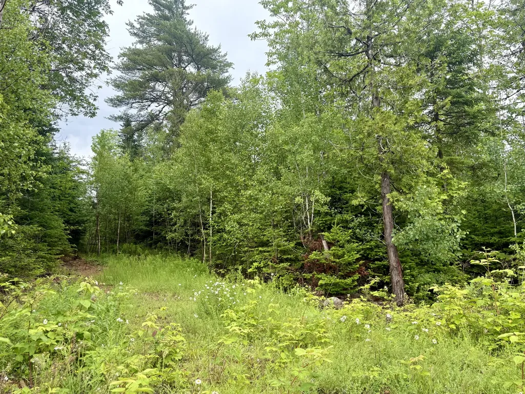 Lot 3 Mt. Jefferson Heights Lee ME 04455
