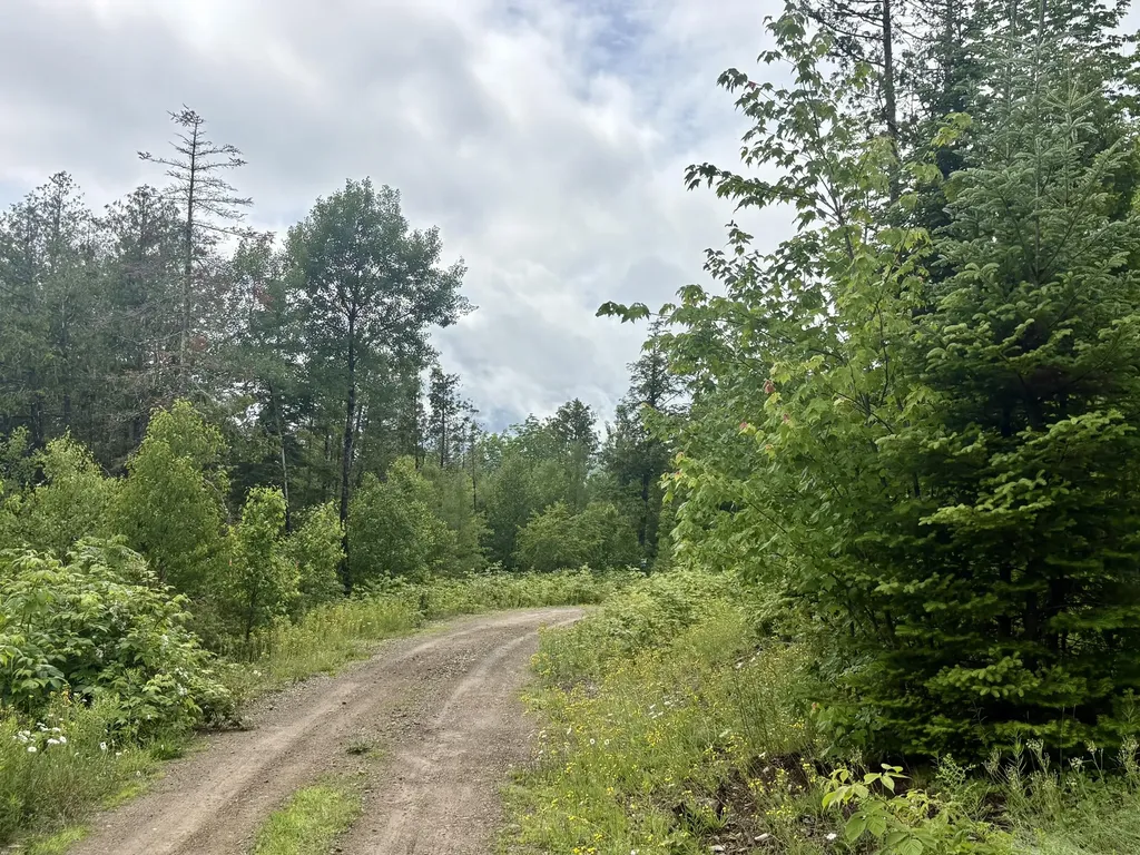 Lot 3 Mt. Jefferson Heights Lee ME 04455