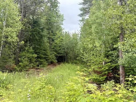 Lot 3 Mt. Jefferson Heights Lee ME 04455