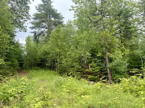 Lot 3 Mt. Jefferson Heights Lee ME 04455
