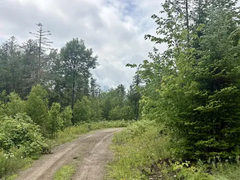 Lot 3 Mt. Jefferson Heights Lee ME 04455