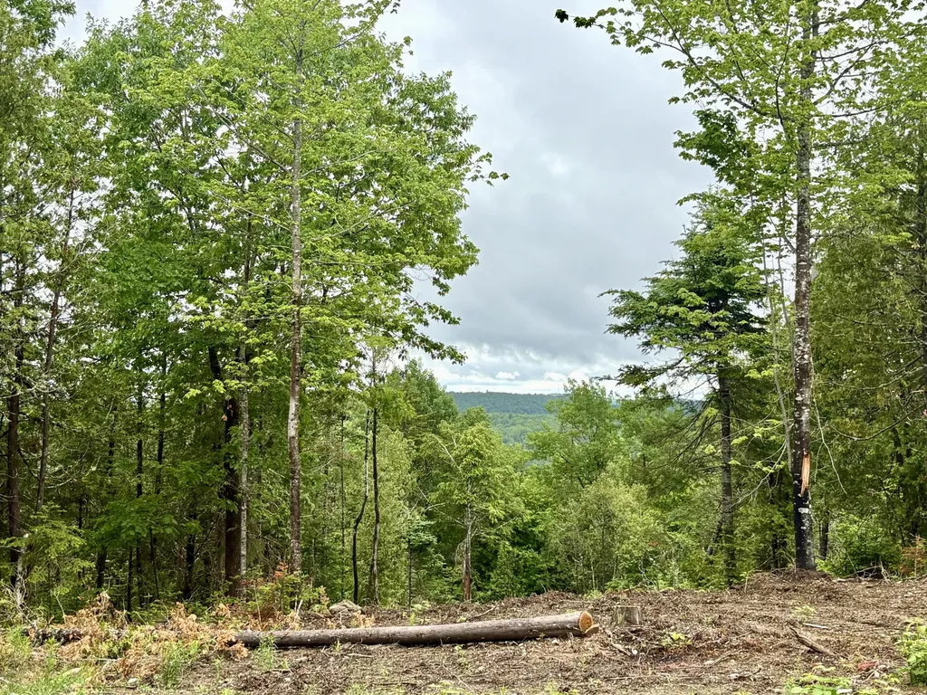 Lot 13 Mt. Jefferson Heights Lee ME 04455