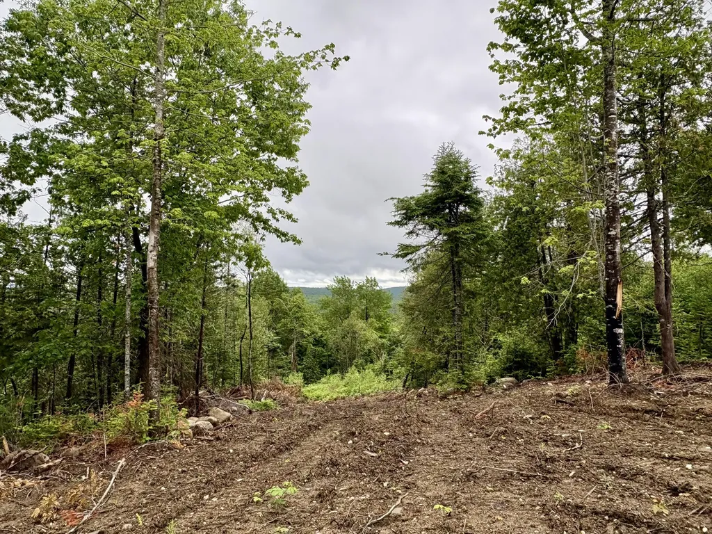 Lot 13 Mt. Jefferson Heights Lee ME 04455