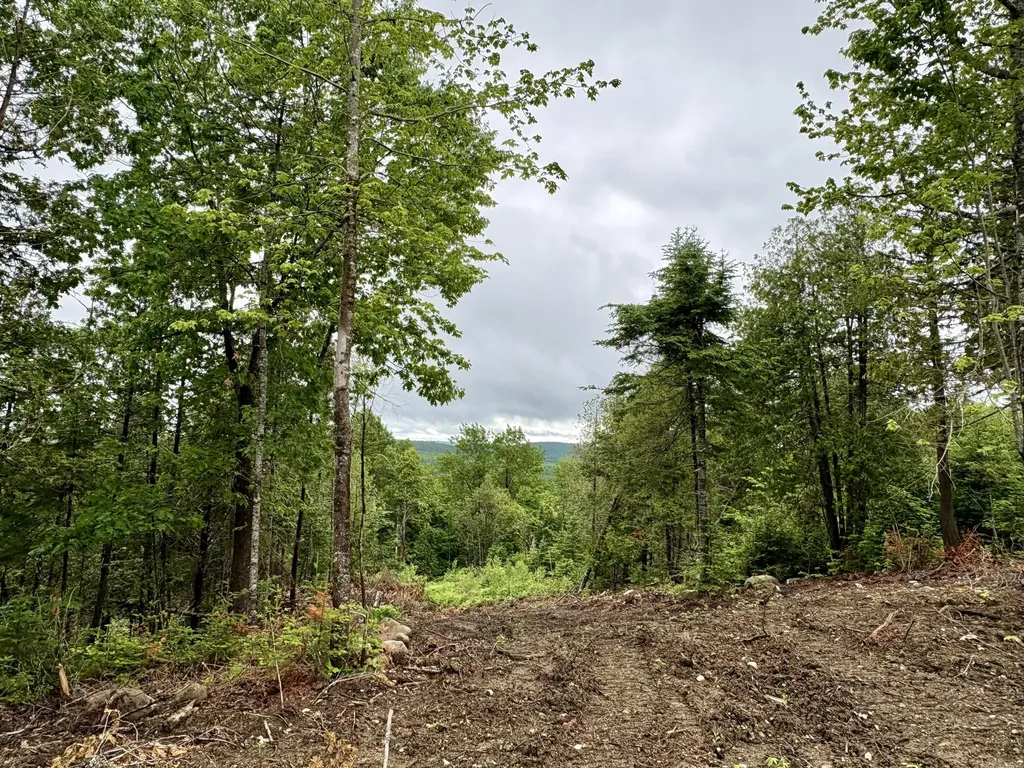 Lot 13 Mt. Jefferson Heights Lee ME 04455