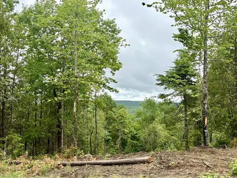 Lot 13 Mt. Jefferson Heights Lee ME 04455
