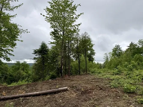 Lot 13 Mt. Jefferson Heights Lee ME 04455