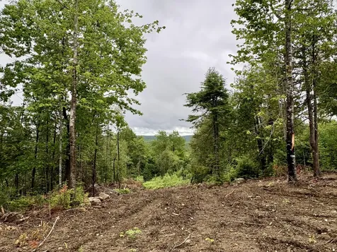 Lot 13 Mt. Jefferson Heights Lee ME 04455