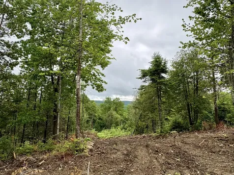 Lot 13 Mt. Jefferson Heights Lee ME 04455