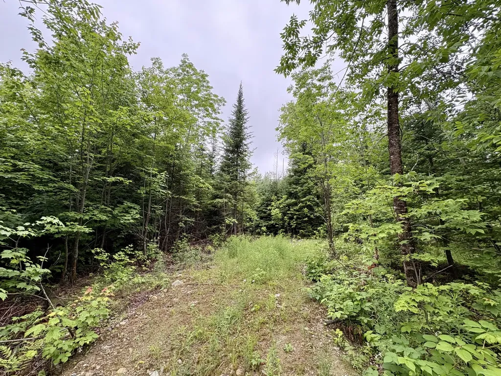 Lot 1 Mt. Jefferson Heights Lee ME 04455