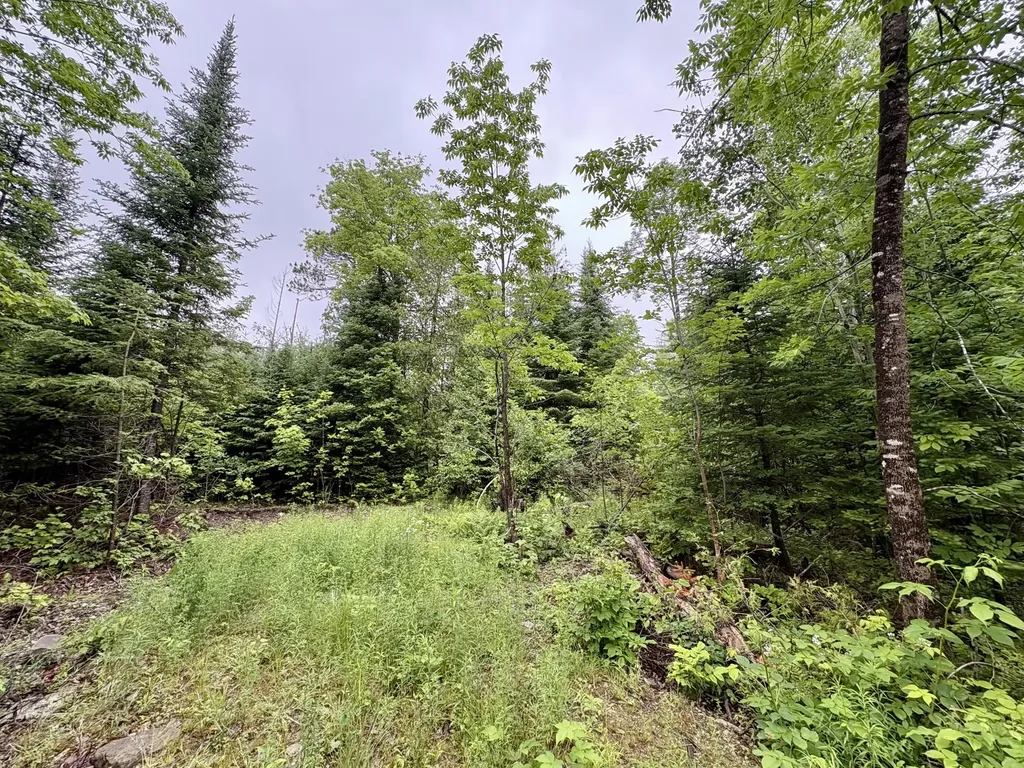 Lot 1 Mt. Jefferson Heights Lee ME 04455