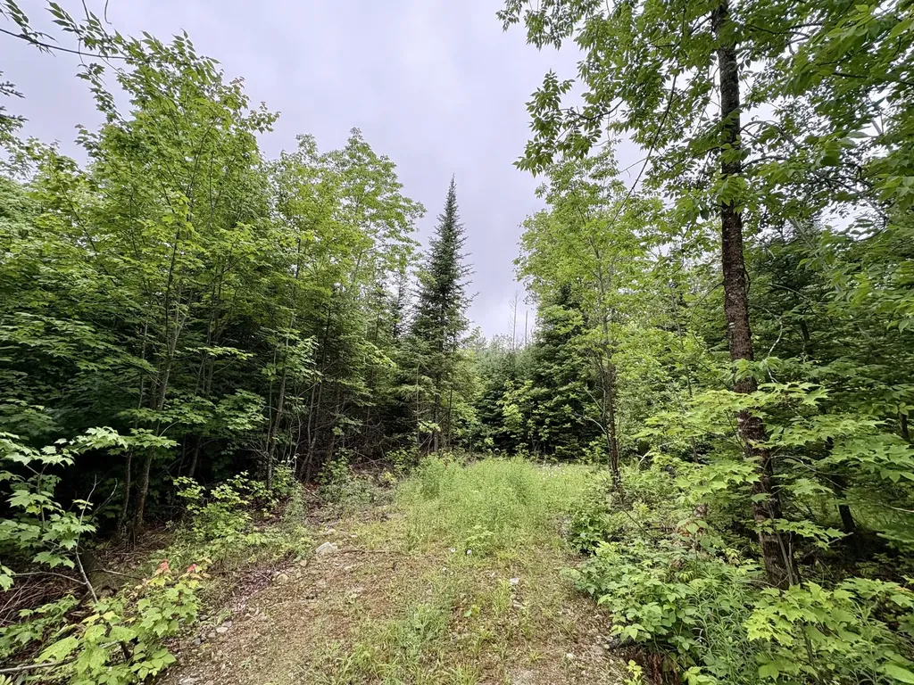 Lot 1 Mt. Jefferson Heights Lee ME 04455