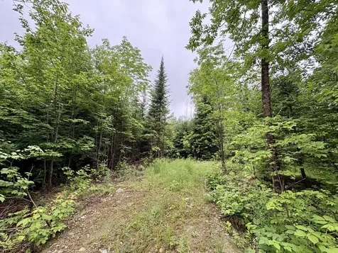 Lot 1 Mt. Jefferson Heights Lee ME 04455